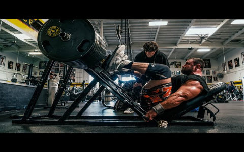 Golden Leg Training Programs Guide? (Easy Methods for All Levels)