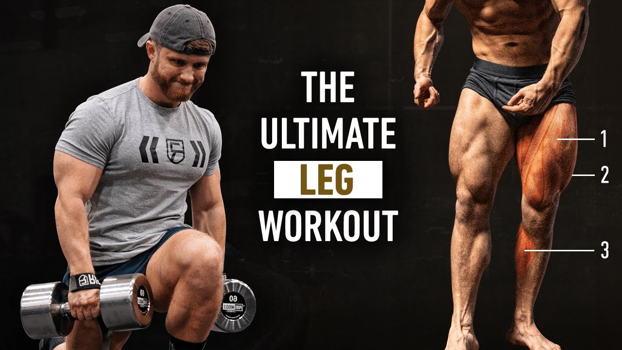Golden Leg Training Programs Guide? (Easy Methods for All Levels)
